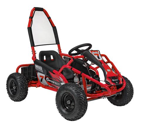 El Buggy Mud Monster 48V